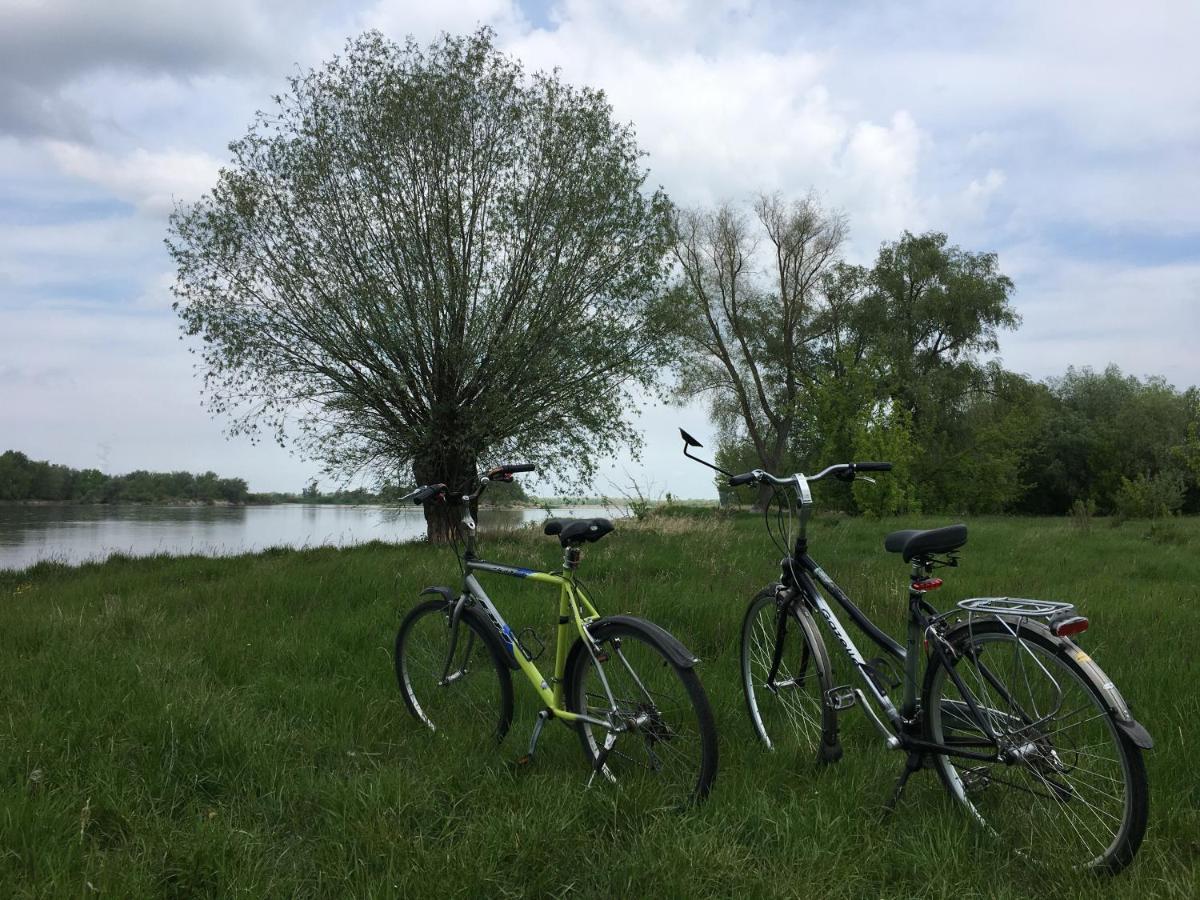 Agroturystyka Kobylnica Nad Wisla Dış mekan fotoğraf