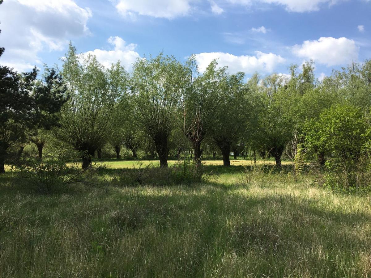 Agroturystyka Kobylnica Nad Wisla Dış mekan fotoğraf