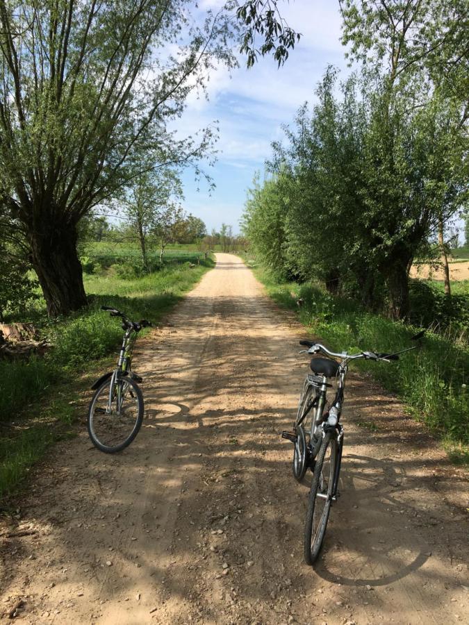 Agroturystyka Kobylnica Nad Wisla Dış mekan fotoğraf