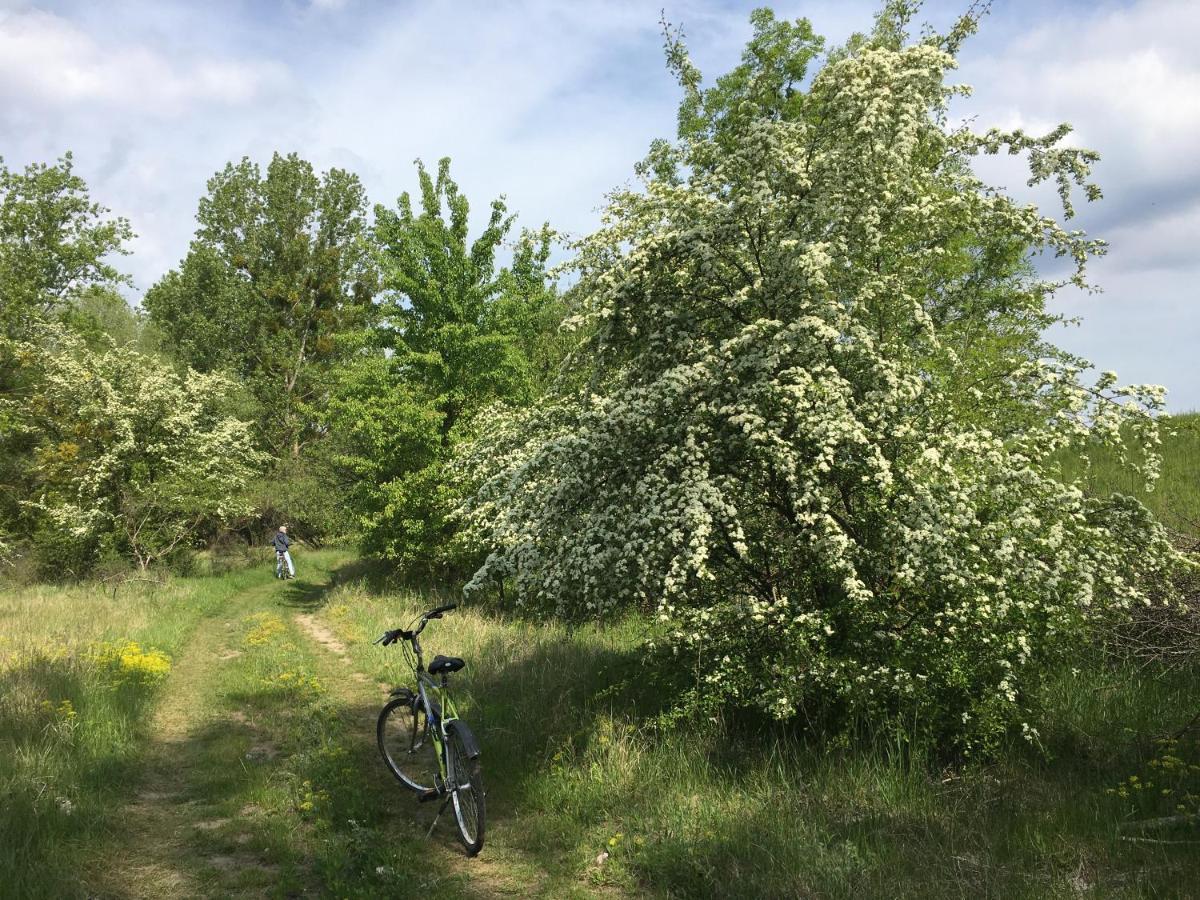 Agroturystyka Kobylnica Nad Wisla Dış mekan fotoğraf