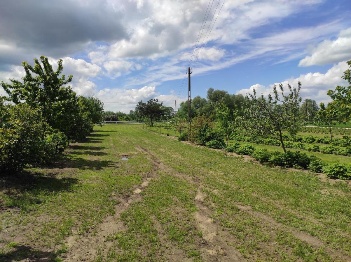 Agroturystyka Kobylnica Nad Wisla Dış mekan fotoğraf