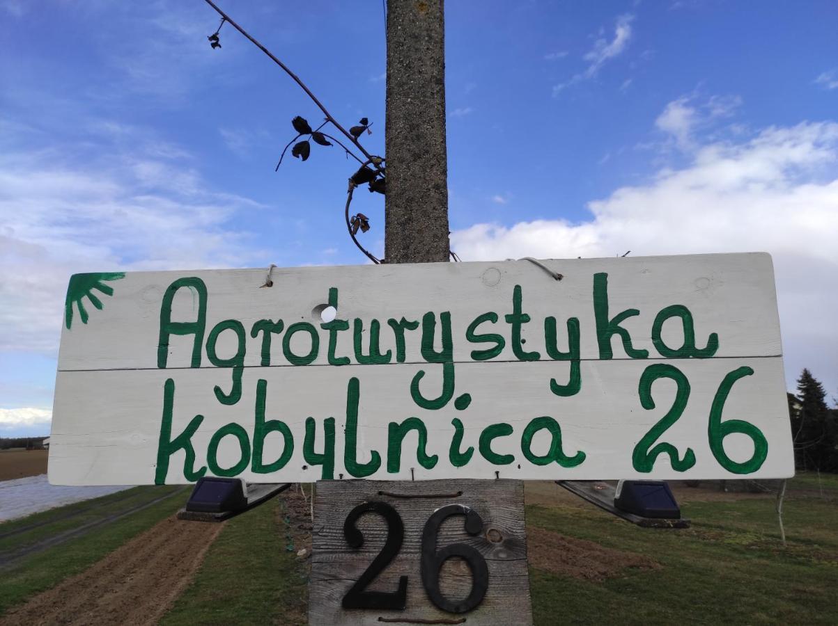 Agroturystyka Kobylnica Nad Wisla Dış mekan fotoğraf