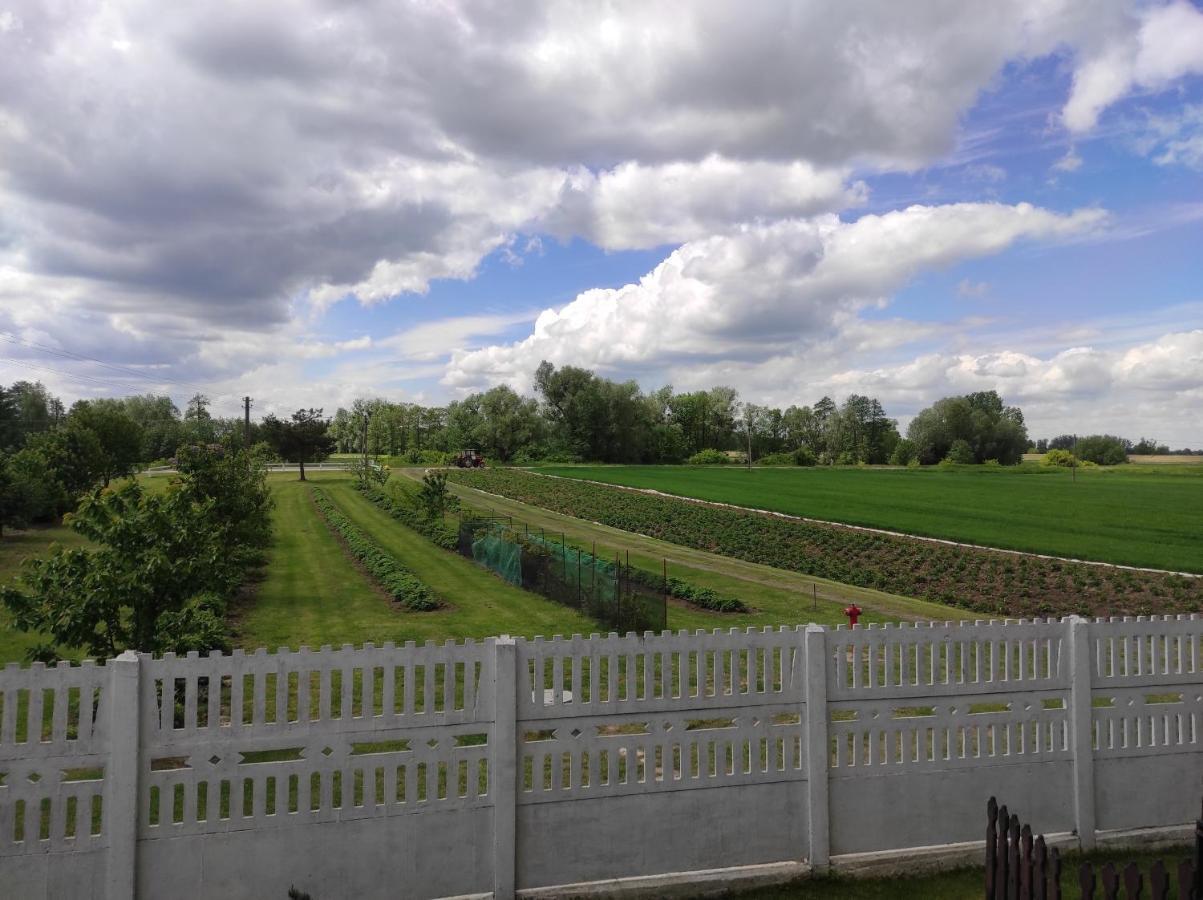 Agroturystyka Kobylnica Nad Wisla Dış mekan fotoğraf
