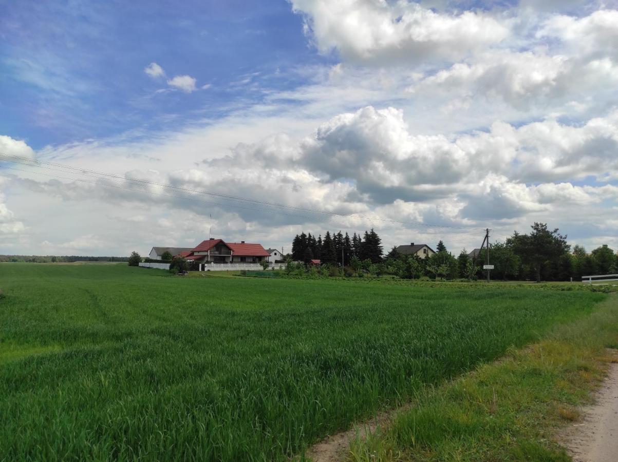 Agroturystyka Kobylnica Nad Wisla Dış mekan fotoğraf