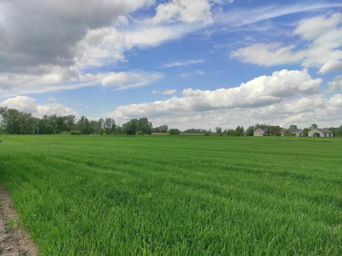 Agroturystyka Kobylnica Nad Wisla Dış mekan fotoğraf