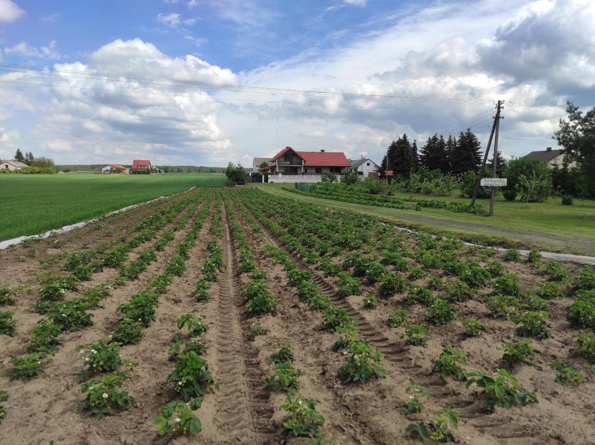 Agroturystyka Kobylnica Nad Wisla Dış mekan fotoğraf
