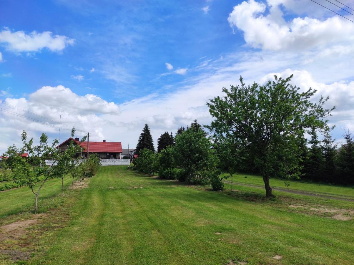 Agroturystyka Kobylnica Nad Wisla Dış mekan fotoğraf