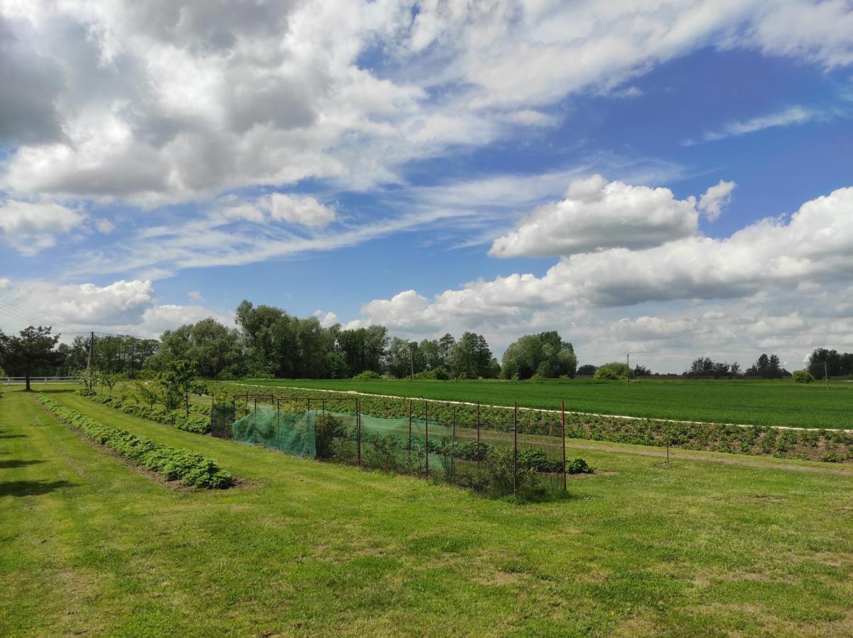 Agroturystyka Kobylnica Nad Wisla Dış mekan fotoğraf